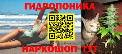 кокс Кулебаки