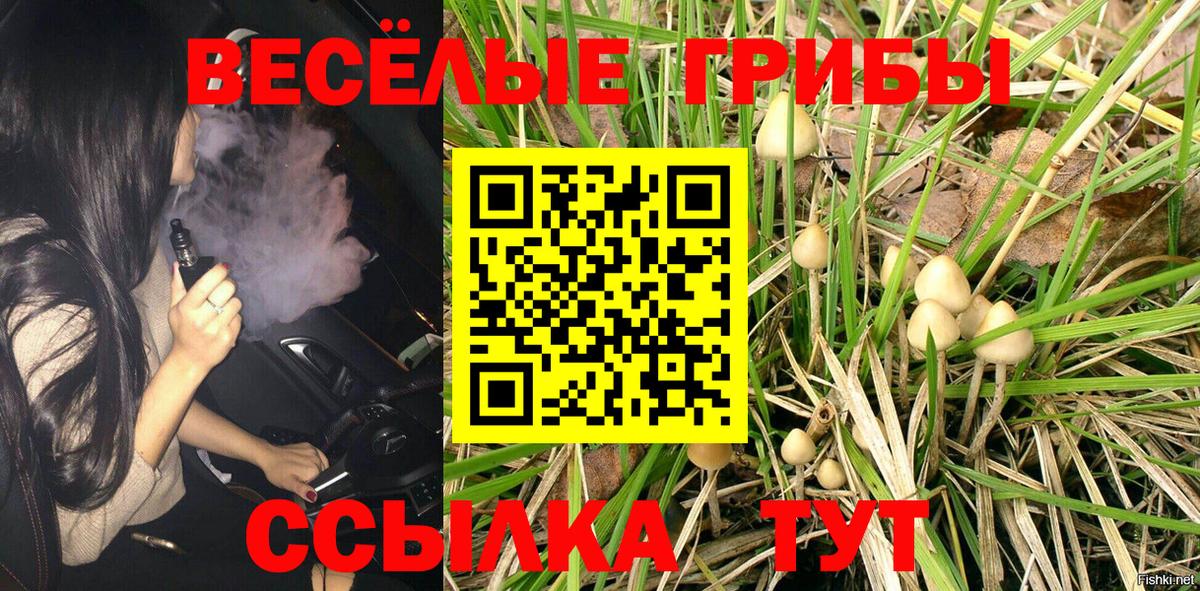 Воронеж  Галлюциногенные грибы GOLDEN TEACHER  Псилоцибиновые грибы Cubensis  Вход с VPN 