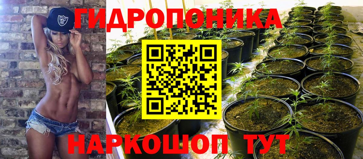 Канабис индика Воронеж